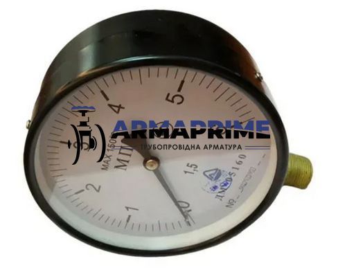 Манометр ДМ 05160-01 радиальный 6 МПа кл. 1,5 М20x1,5